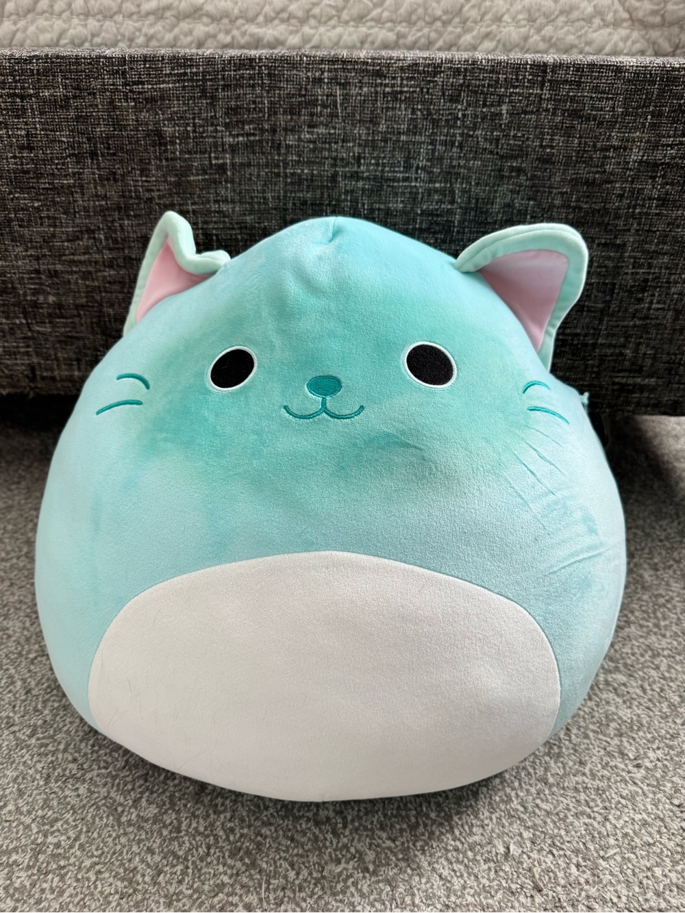 Squishmallow cat Sigrid